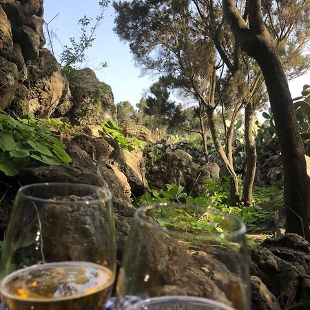 巴尔韦尔德 Casas Del Monte II旅馆 外观 照片