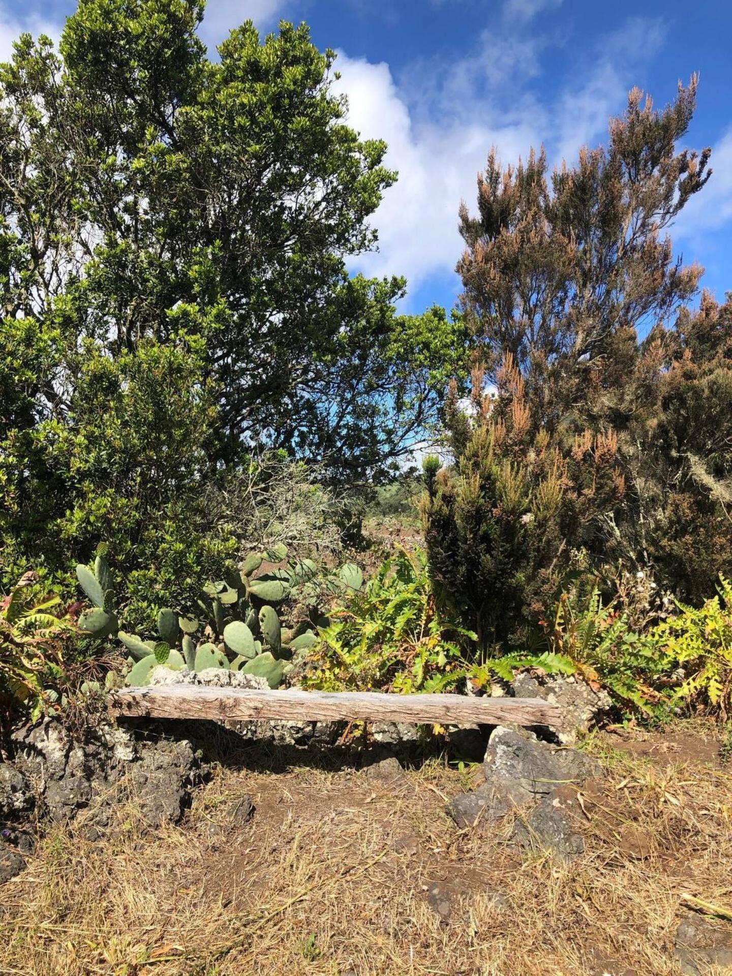 巴尔韦尔德 Casas Del Monte II旅馆 外观 照片